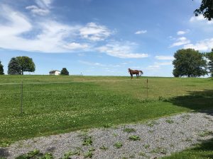 Horse Barn Builders in North East