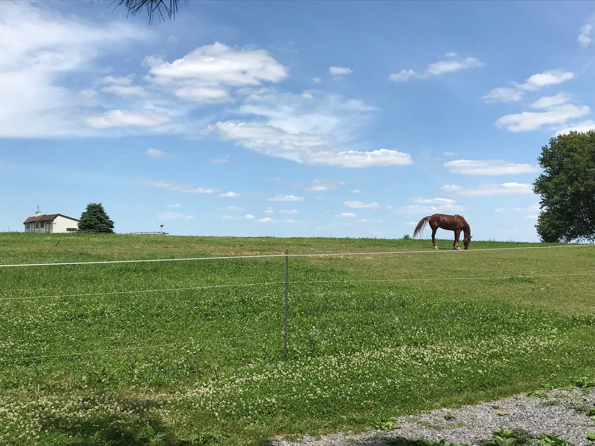Horse Barn Builders in Maryland – What Sets Us Apart from the Rest Primary Image